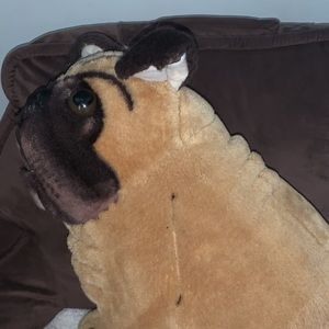 Cute Melissa & Doug pug plush